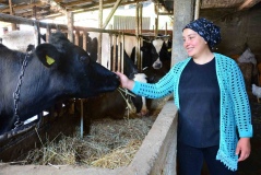 Engelli ve eski hükümlülere yönelik hibe desteğinde yeni düzenleme