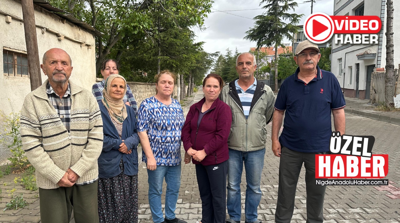 Fertek yolu ölüm saçıyor!