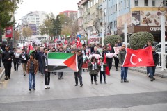 Filistin'e destek yürüyüşü 
