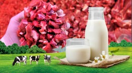 Garibanın et ve süte ulaşması daha da zorlaşabilir! Et ve süt fiyatları neden yükseliyor?