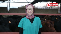 Genç kadın veteriner devlet desteğiyle hayvancılığa başladı
