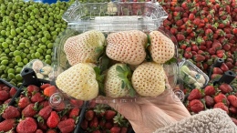 Gören hayret ediyor! Niğde Beyaz Çilek tezgahlardaki yerini aldı