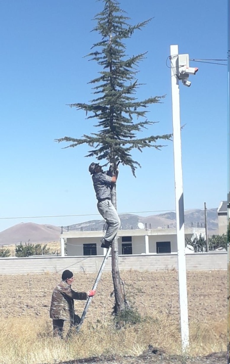 Gösterli Köyü’nde Kış Hazırlıkları Başladı: Ağaçlarda Budama Çalışması Yapılıyor