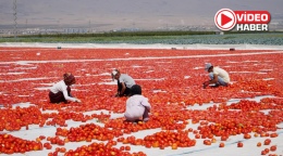 Niğde'de kurutuluyor, dünya sofralarında yerini alıyor