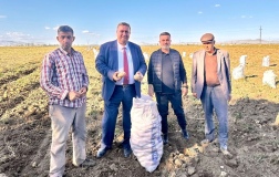 Gürer'den Flaş Patates Açıklaması