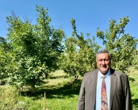 Gürer: Sigortasız çiftçi sahipsiz kaldı
