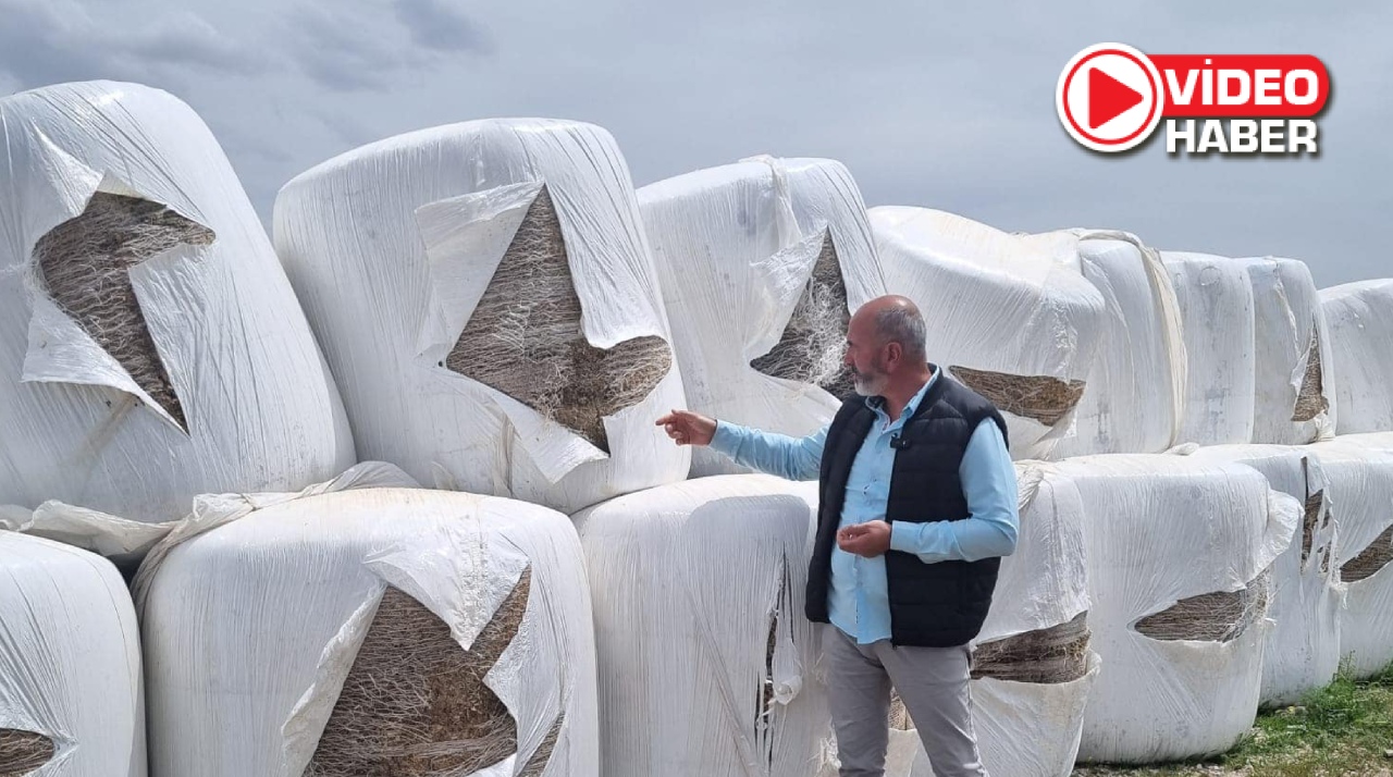 Hayvancılık ve Tarımda Yeni Dönem: Niğde’de Örnek Projeler