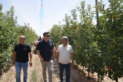 İl Müdürü Mete Elma Hasadında
