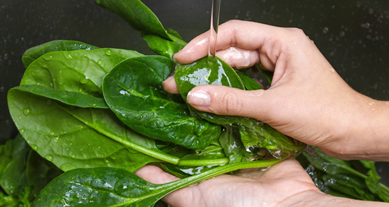 Ispanağa benziyor ama yiyen zehirleniyor