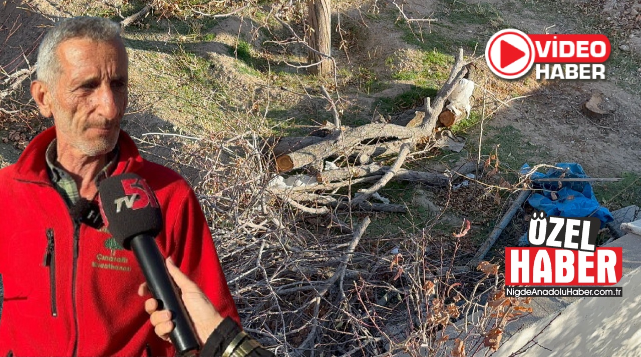 Kalsit Ocağı Gümüşler’deki bahçeleri kurutuyor