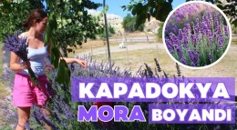 Kapadokya'nın güzelliğine lavanta dopingi