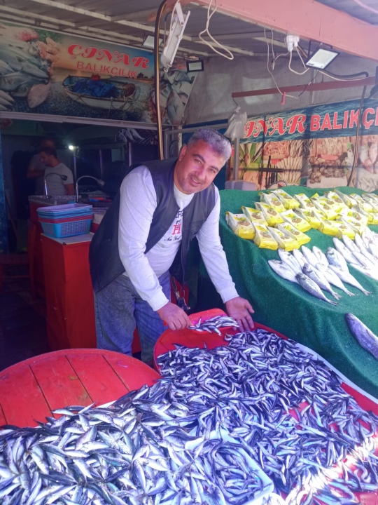 Karadeniz’in İncisi Hamsi Tezgahlarda: Bu Sene Tezgahları Şenlendirecek