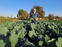 Karya Farma HBX Ar-Ge’den Bağışıklık Destekleyici Yeni Çorba Katkısı