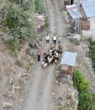 Kayıp Hayvanlar Jandarma Ekiplerinin Dronuyla Bulundu