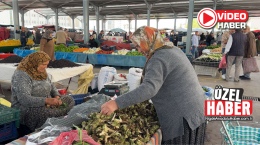 Kenger Otu şifasıyla dikkat çekiyor