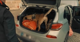 Kilolarca uyuşturucu ele geçirildi! Aralarında Niğde’de var