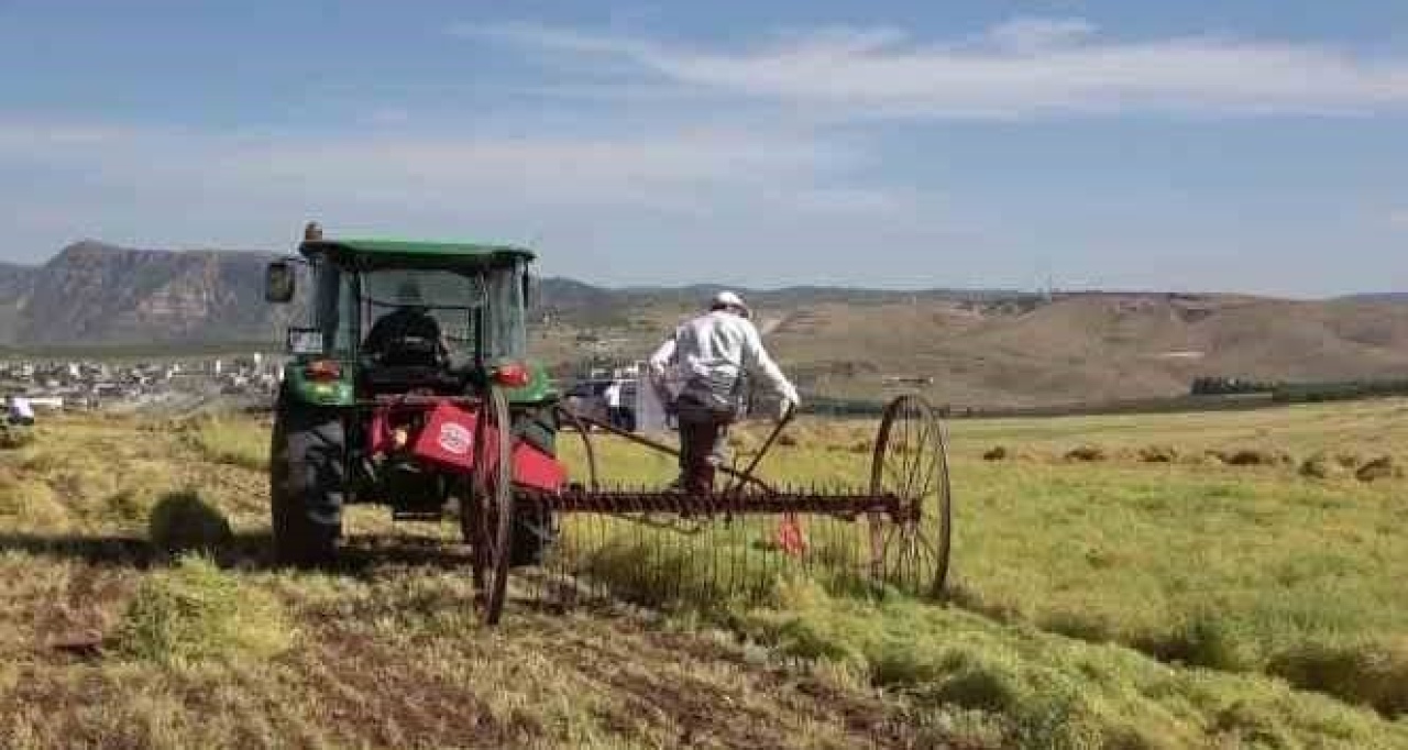 Kırsal Kalkınma Hibe Desteği Asil Yatırımcı Listesi Açıklandı