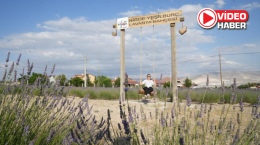 Kırsalda Mor Dönüşüm: Atıl Arazi Turizme Kazandırıldı