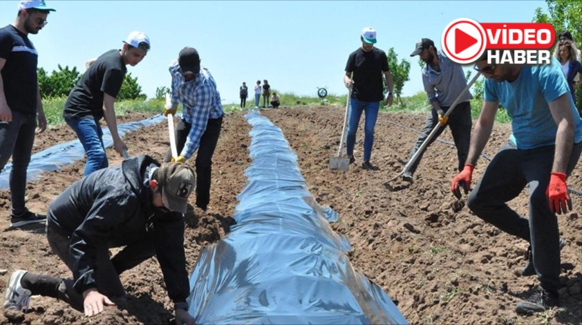 Köylere Ziraat Mühendisi mi verilecek? Son söz TBMM’de