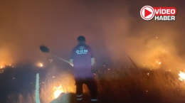 Koyunlu ve Fesleğen köyleri yakınlarındaki yangın kontrol altına alındı