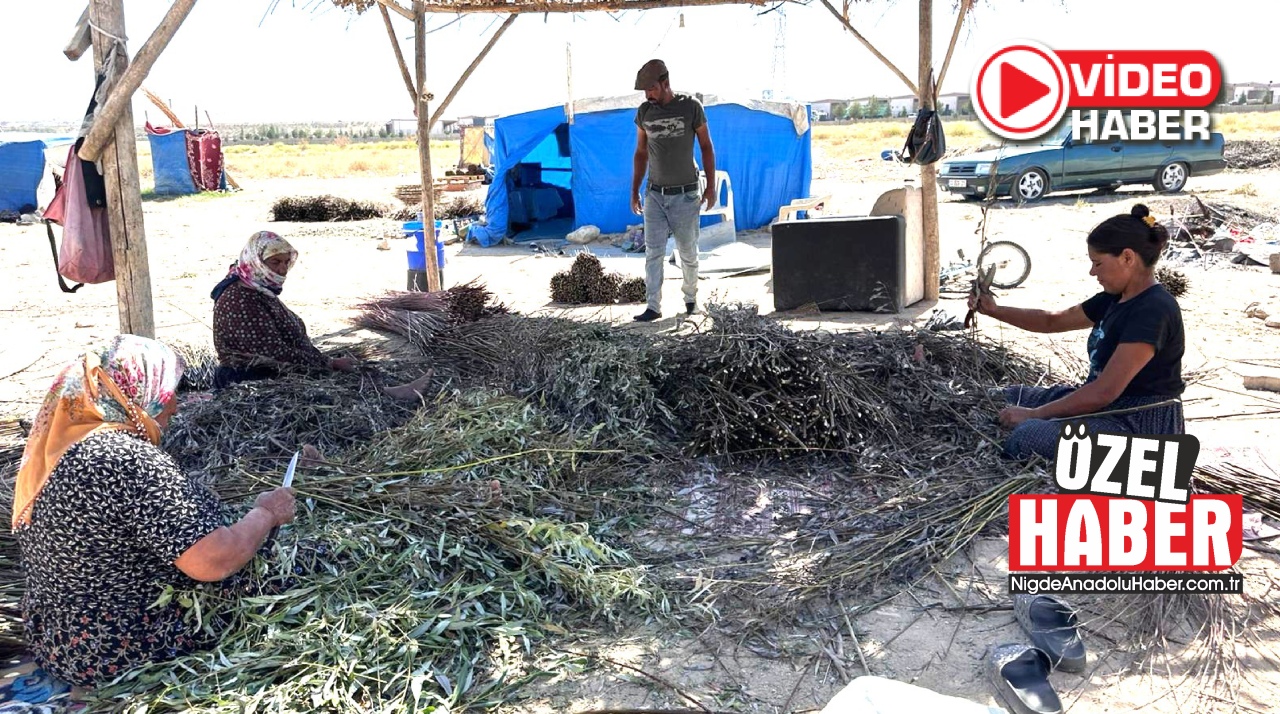 Mersin’den gelip 20 yıldır Niğde’de sepet üretiyor