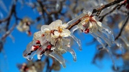 Meteoroloji’den kritik uyarı! 