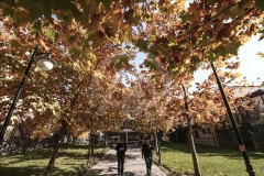 Mevsimsel Değişimler Psikolojiyi Etkileyebilir