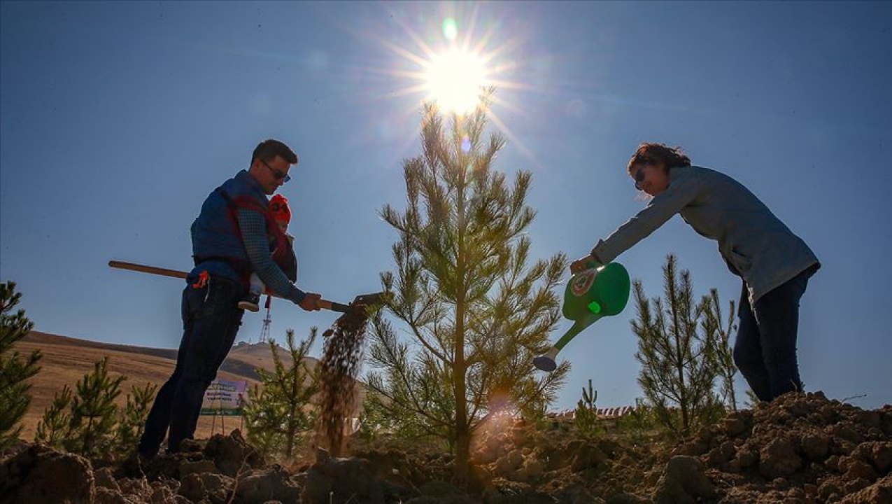  Millî Ağaçlandırma Günü Seferberliği Devam Ediyor