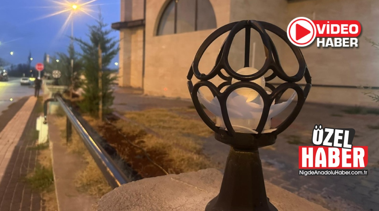 Ne istediniz lambalardan?