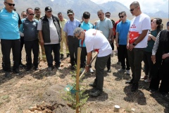 Niğde'de 155 bin fidan toprakla buluşacak