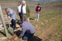 Niğde'de 1900 rakımda elma ve kiraz yetiştiriliyor