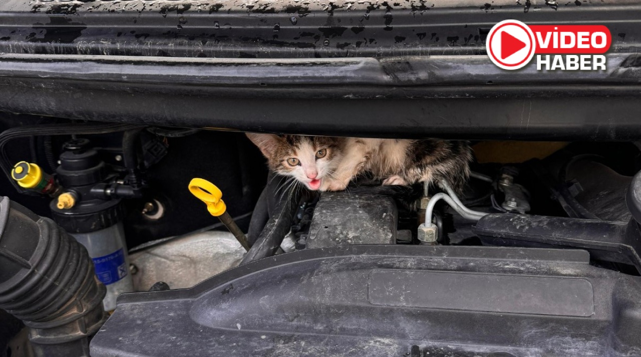 Niğde'de araç motoruna giren kedi kurtarıldı