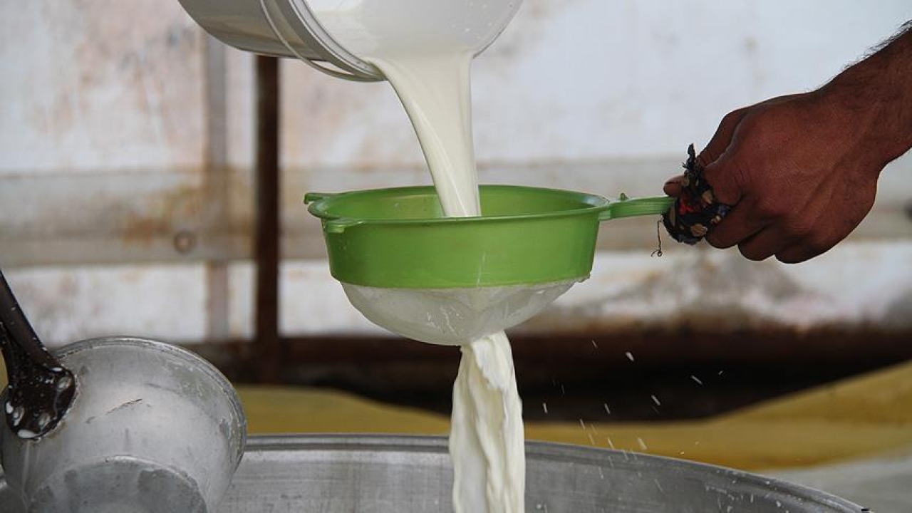 Niğde'de Çiğ Süt Desteği Ödemeleri Başladı