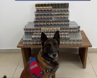 Niğde'de kaçak sigara operasyonu düzenlendi