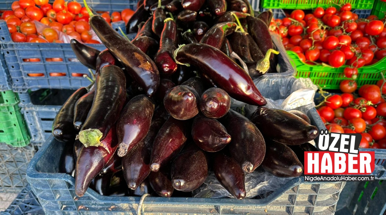 Niğde'de patlıcan fiyatları rekor seviyeye ulaştı