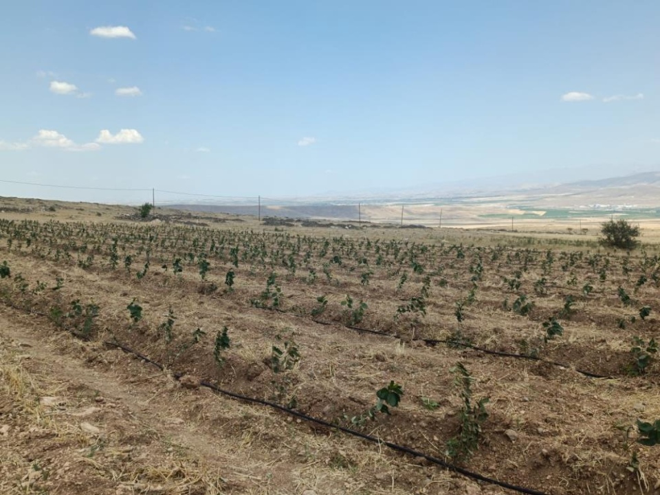 Niğde'de Üreticilere 80 Milyon 964 Bin TL Destek Sağlanacak