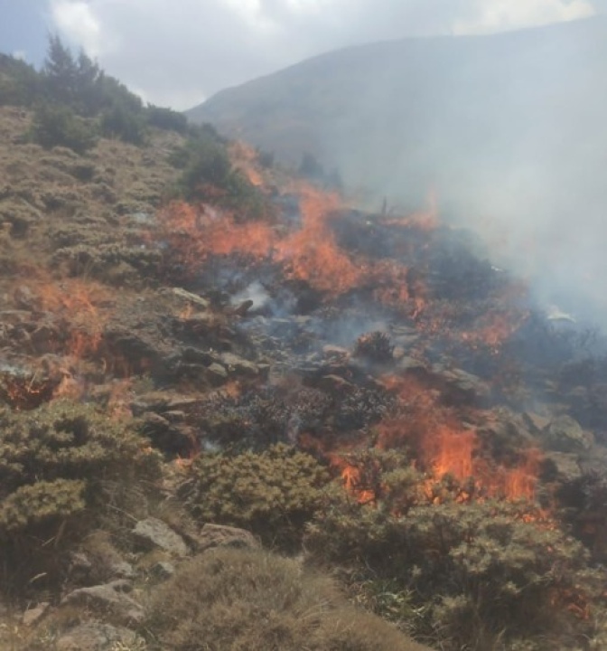 Niğde Çiftlik’te Yangın