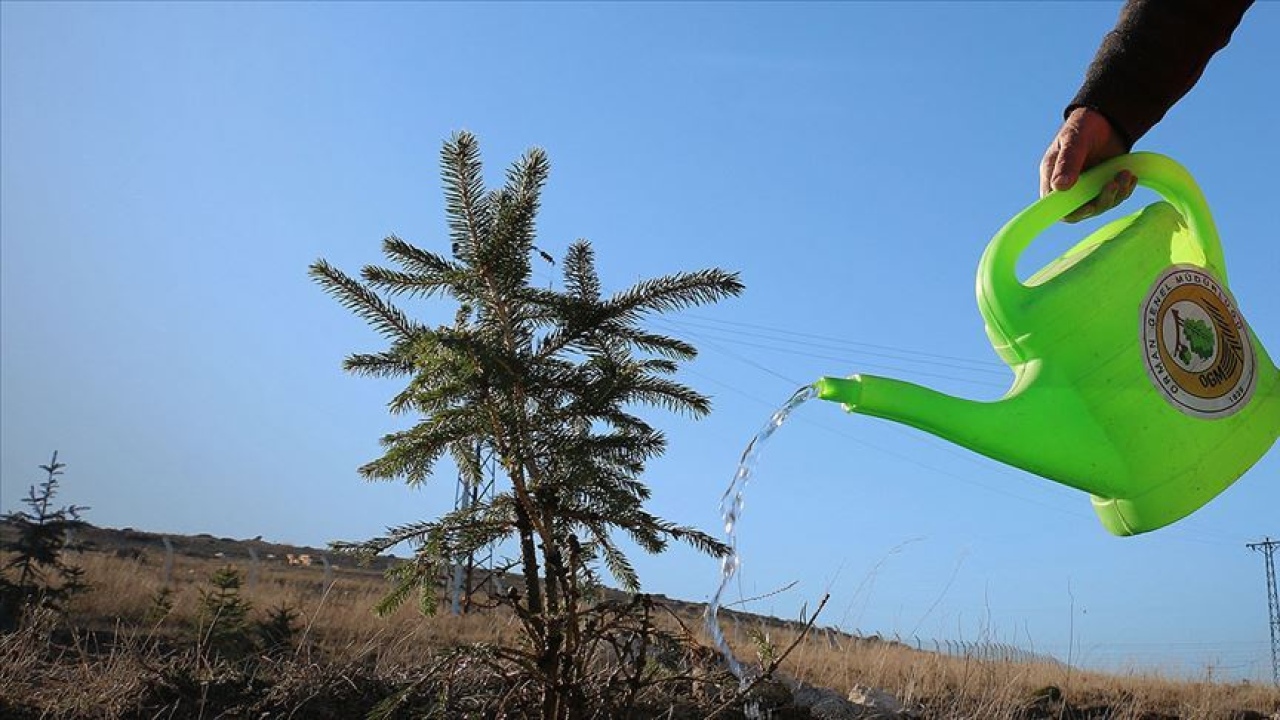 Niğde’de 205 bin 50 fidan toprakla buluşacak