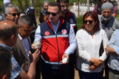 Niğde’de 33 bin salep yumrusu dağıtıldı