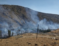 Niğde’de ağaçlık alanda yangın çıktı! 