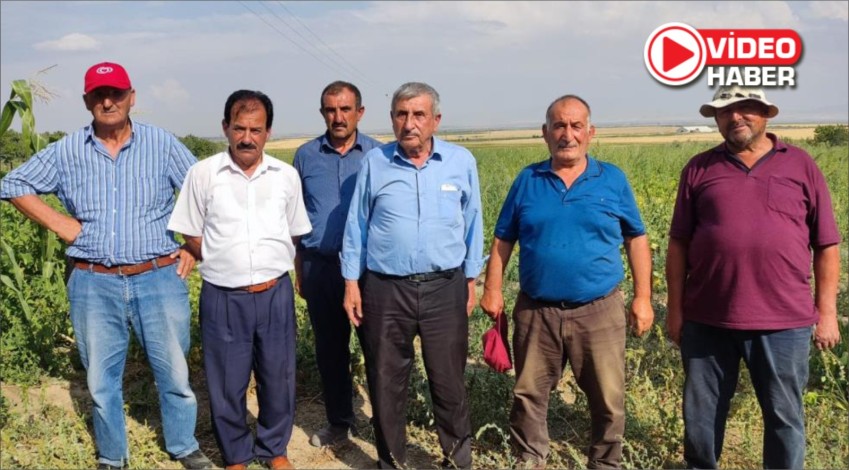 Niğde’de Arazi Toplulaştırması Çiftçileri Mağdur Etti