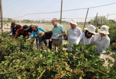 Niğde’de Çiftçi Buluşmaları Çukurkuyu Kasabası’nda Gerçekleşecek