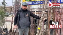 Niğde’de fidan sezonu hareketlendi