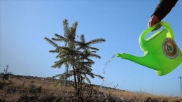 Niğde’de fidanlar toprakla buluşuyor