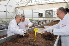 Niğde’de geliştirilen ilk yerli patates “UĞUR” tescillendi