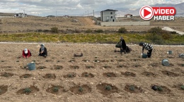 Niğde’de genç girişimci lavanta bahçesi kurdu