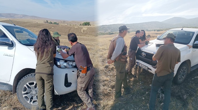 Niğde’de kaçak avcılara ceza yağdı