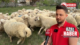 Niğde’de kurbanlık fiyatları belli oldu