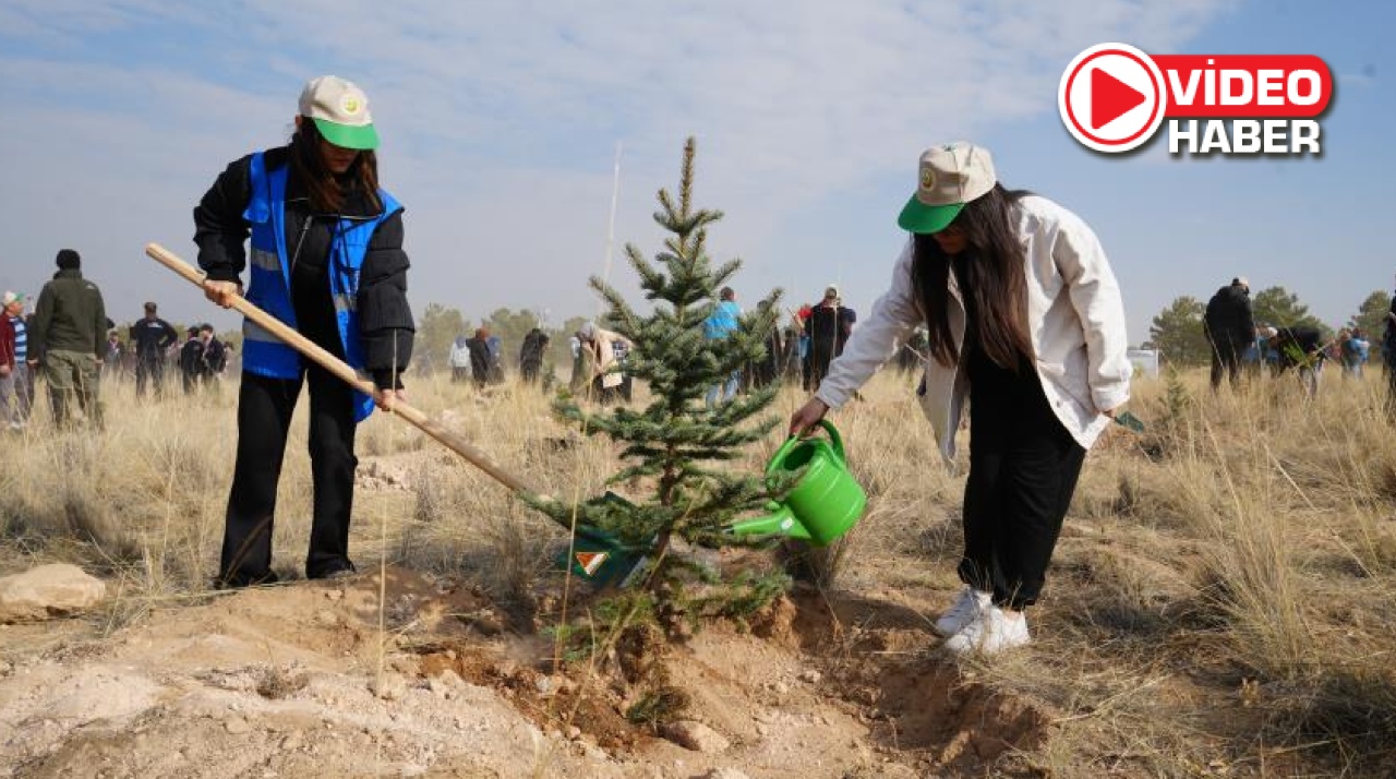 Niğde’de “Milli Ağaçlandırma Günü”nde fidanlar toprakla buluştu