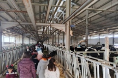 Niğde’de Minik Öğrenciler Tarımla Tanıştı